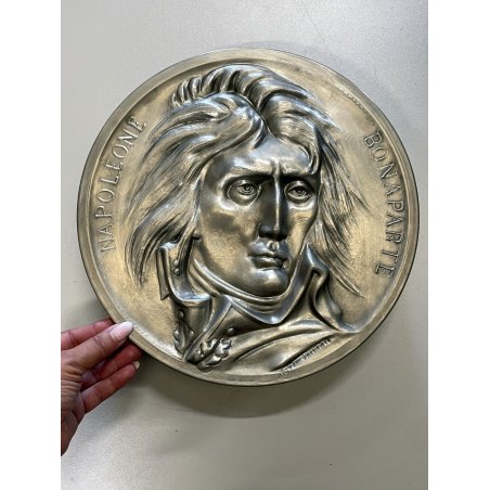 VOLUME CIRCOLARE Arte e Storia nelle Medaglie NAPOLEONE BONAPARTE Mario Coniglio