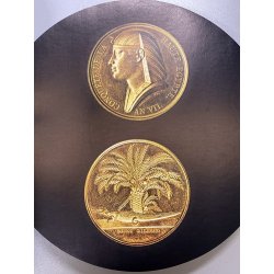 VOLUME CIRCOLARE Arte e Storia nelle Medaglie NAPOLEONE BONAPARTE Mario Coniglio