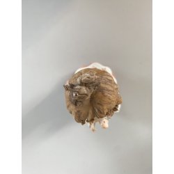 4 FIGURE CHIERICHETTI PORCELLANA Biscuit CAPODIMONTE "Rori" PROCESSIONE BIMBI