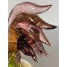 SCULTURA VETRO Murano SOMMERSO TRASPARENTE FOGLIA ORO GALLO 12,5 cm/h '50