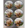 SET 12 pz. BOWL VINTAGE VITRO PORCELAIN Arnolfo di Cambio TABLE TOP ø 15x4 cm/h