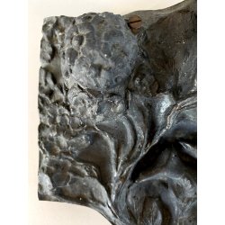 CALAMAIO BRONZO SCULTURA FIGURA ALLEGORICA FEMMINILE LEONE INIZIO XX sec 31cm/L