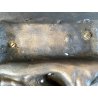 CALAMAIO BRONZO SCULTURA FIGURA ALLEGORICA FEMMINILE LEONE INIZIO XX sec 31cm/L