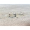 TAVOLO PRANZO DESIGN ANNI 70 TRAVERTINO ROTONDO VINTAGE RONDE TABLE SALA