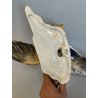 ANTICA SCULTURA ANATRA GIUSEPPE TAGLIARIOL TAY CERAMICA SMALTATA ANNI 60 DUCK