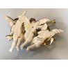 RARA CERAMICA Perconte Sciacca TRE PUTTI MUSICANTI SMALTO POLICROMO ORO RESTAURI