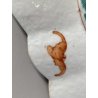 ANTICO PIATTO QUADRILOBATO ALZATA PORCELLANA CINESE FAMILLE ROSE XIX/XX sec