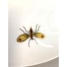 PICCOLA ALZATA PORCELLANA Rosenthal DECORO BOUQUET FIORI NASTRI  ø 16,5 cm '30