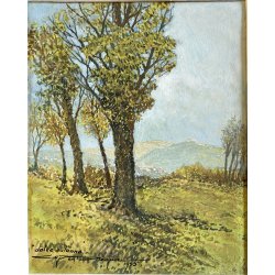PICCOLO DIPINTO OLIO CARTONE "Dolce autunno" VEDUTA COLLINE LAGO MAGGIORE 1955