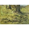 PICCOLO DIPINTO OLIO CARTONE "Dolce autunno" VEDUTA COLLINE LAGO MAGGIORE 1955