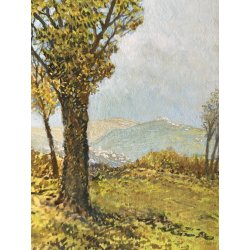 PICCOLO DIPINTO OLIO CARTONE "Dolce autunno" VEDUTA COLLINE LAGO MAGGIORE 1955