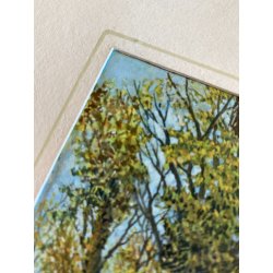 PICCOLO DIPINTO OLIO CARTONE "Dolce autunno" VEDUTA COLLINE LAGO MAGGIORE 1955