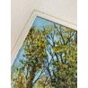 PICCOLO DIPINTO OLIO CARTONE "Dolce autunno" VEDUTA COLLINE LAGO MAGGIORE 1955