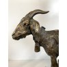 ANTICA SCULTURA BRONZO "PASTORELLO con CAPRA" SCUOLA NAPOLETANA 40 cm/h XX sec