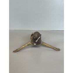ANTICO PICCOLO CROCIFISSO CRISTO LEGNO GESSO EPOCA '800 SCULTURA RELIGIOSA CROCE