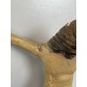 ANTICO PICCOLO CROCIFISSO CRISTO LEGNO GESSO EPOCA '800 SCULTURA RELIGIOSA CROCE