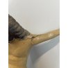 ANTICO PICCOLO CROCIFISSO CRISTO LEGNO GESSO EPOCA '800 SCULTURA RELIGIOSA CROCE