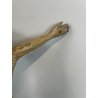ANTICO PICCOLO CROCIFISSO CRISTO LEGNO GESSO EPOCA '800 SCULTURA RELIGIOSA CROCE