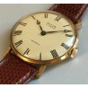 OROLOGIO POLSO DORATO Avia INCABLOC anni 60 cal. P320 PESEUX Vintage Wrist Watch