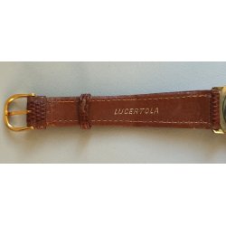 OROLOGIO POLSO DORATO Avia INCABLOC anni 60 cal. P320 PESEUX Vintage Wrist Watch