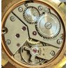 OROLOGIO POLSO DORATO Avia INCABLOC anni 60 cal. P320 PESEUX Vintage Wrist Watch