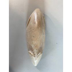 SCULTURA ZOOMORFA Riet de Klerk PIETRA NATURALE LEVIGATA FIGURA ANIMALE '900