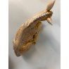 LOTTO 4 ANIMALI PRESEPE Fontanini BUE ASINO PECORE VINTAGE max H 16cm ITALIA '83