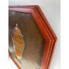QUADRO RAME farmacia BASSORILIEVO EPOCA 1900 ICONA albarello PIANTA CASSIA VASO