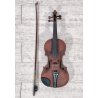 ANTICO VIOLINO con ARCHETTO epoca XIX sec STRUMENTO MUSICALE Old Violin CUSTODIA