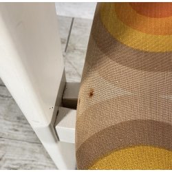 SEDIA DESIGN Augusto Savini LEGNO LACCATO POLTRONA VINTAGE ANNI 60 ARMCHAIR