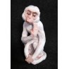 SCULTURA SCIMMIA CERAMICA SMALTO DIPINTA STATUA ITALIA TERRACOTTA SCIMMIETTA