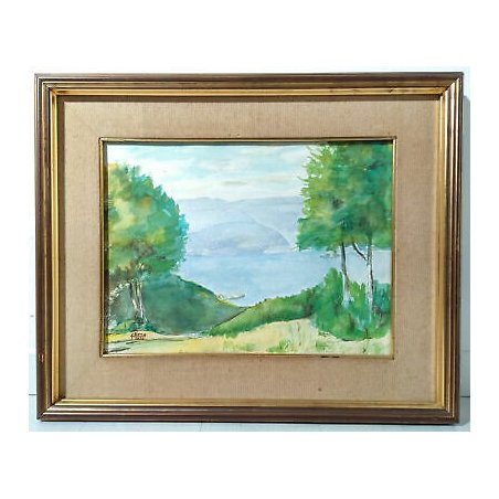 QUADRO ACQUERELLO LEVO LAGO MAGGIORE CRUS DEL GATE FIRMATO SENA DIPINTO 1980