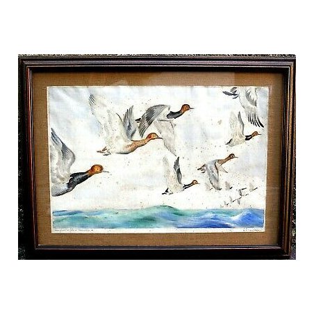 QUADRO ACQUERELLO Ubaldo Cosimo Veneziani MORIGLIONI ANATRE MIGRANTI MARE 1950