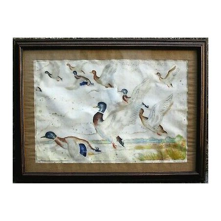 QUADRO ACQUERELLO Ubaldo Cosimo Veneziani LEVATA GERMANI ANATRE STAGNO MARE 1950