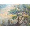 QUADRO P BIANCHI PAESAGGIO MARE MARINA BOSCO ALBERI EPOCA DIPINTO OLIO TAVOLA
