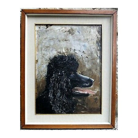 DIPINTO QUADRO OLIO TELA RITRATTO CANE BARBONCINO NERO DOG Metà '900 FIRMATO 
