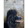 DIPINTO QUADRO OLIO TELA RITRATTO CANE BARBONCINO NERO DOG Metà '900 FIRMATO 