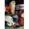 ANTICO QUADRO OLIO TAVOLA Umberto Montini NATURA MORTA FUNGHI PORCINI 1967