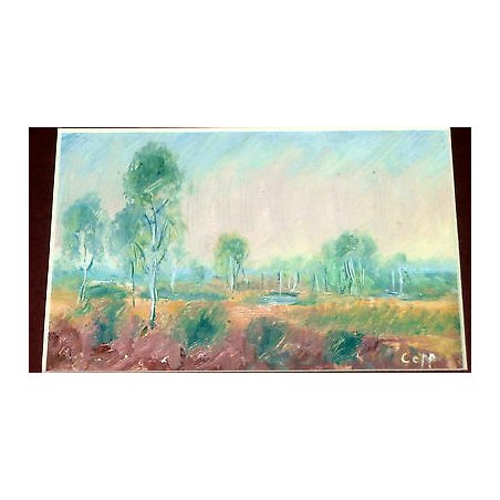 ANTICO PAESAGGIO QUADRO Carlo COPPO OLIO TELA DIPINTO NOVARA MACCHIAIOLO Piemont