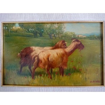 Quadro Lionello Grazi