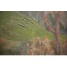 ANTICO QUADRO DIPINTO OLIO TELA Pino Pessina Da Castanedo PAESAGGIO LAGO ORTA 