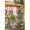 DIPINTO ACQUERELLO Colla ARONA VEDUTA PIAZZA DEL POPOLO BROLETTO LAGO MAGGIORE