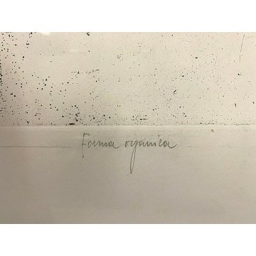 QUADRO LITOGRAFIA STAMPA FIRMATA Sergio Saroni COMPOSIZIONE FORMA ORGANICA 1972