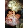 ANTICO DIPINTO OLIO OVALE NATURA MORTA FIORI PEONIE IPOMEA CORNICE ORO PRIMO'900