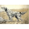 ANTICA STAMPA INCISIONE SCENA di CACCIA CANI ENGLISH SETTERS ON POINT PAESAGGIO