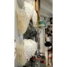 COPPIA DI APPLIQUE in VETRO MURANO TRASPARENTE ORO FOGLIE D'ACANTO 2 LUMI '900