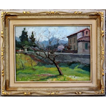 ANTICO QUADRO DIPINTO OLIO TAVOLA META' '900 CAMPAGNA ALBERO FRUTTETO CASALE 