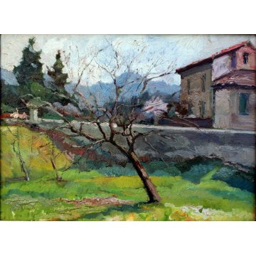 ANTICO QUADRO DIPINTO OLIO TAVOLA META' '900 CAMPAGNA ALBERO FRUTTETO CASALE 