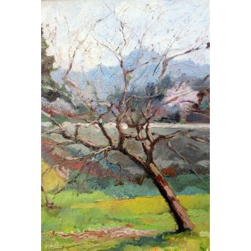 ANTICO QUADRO DIPINTO OLIO TAVOLA META' '900 CAMPAGNA ALBERO FRUTTETO CASALE 