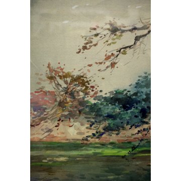 ANTICO QUADRO DIPINTO ACQUERELLO A. Pasetto PAESAGGIO LAGO FOCE FIUME PRIMI 900 